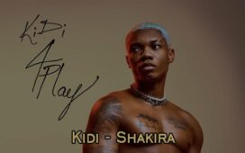 Kidi – Shakira (DJ Evito Extended)