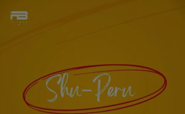 Kizz Daniel – Shu-Peru (Instrumental)