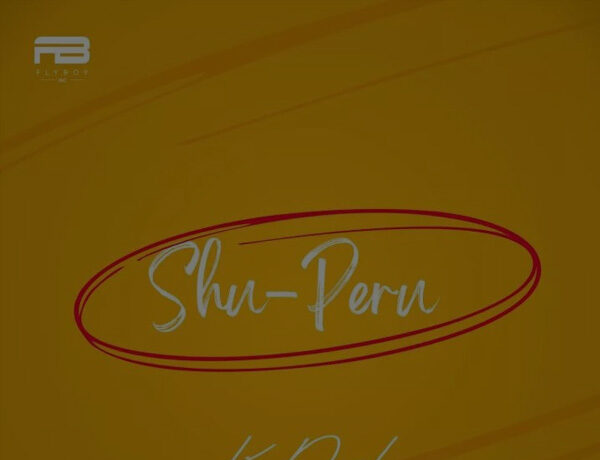 Kizz Daniel – Shu-Peru (Instrumental)