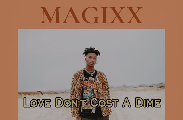 Magixx ft. Ayra Starr – Love Don't Cost A Dime (DJ Evito Extended)