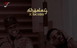 Shoday ft. Skiibii – Caution [Remix] (DJ Evito Extended)