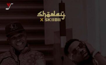 Shoday ft. Skiibii – Caution [Remix] (DJ Evito Extended)