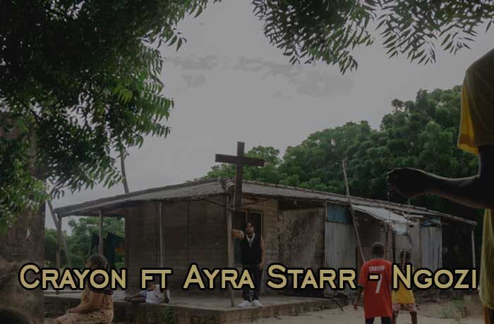 Crayon ft. Ayra Starr – Ngozi (DJ TLS Extended)