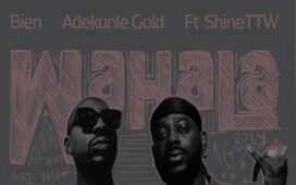 Bien ft. Adekunle Gold & ShineTTW – Wahala (Instrumental)