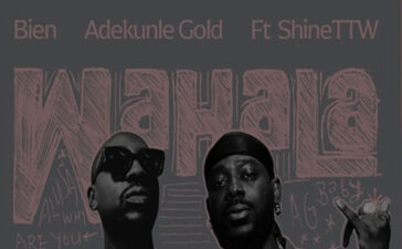 Bien ft. Adekunle Gold & ShineTTW – Wahala (Instrumental)