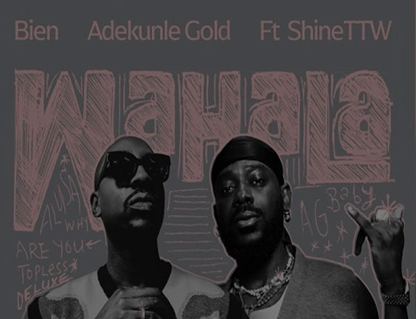 Bien ft. Adekunle Gold & ShineTTW – Wahala (Instrumental)